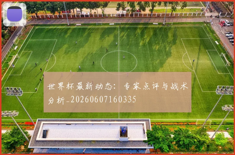 世界杯最新动态:专家点评与战术分析_20260607160335
