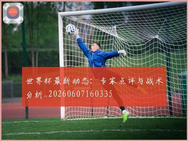 世界杯最新动态:专家点评与战术分析_20260607160335